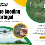 drone seeding