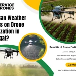 Weather Effects on Drone Fertilization