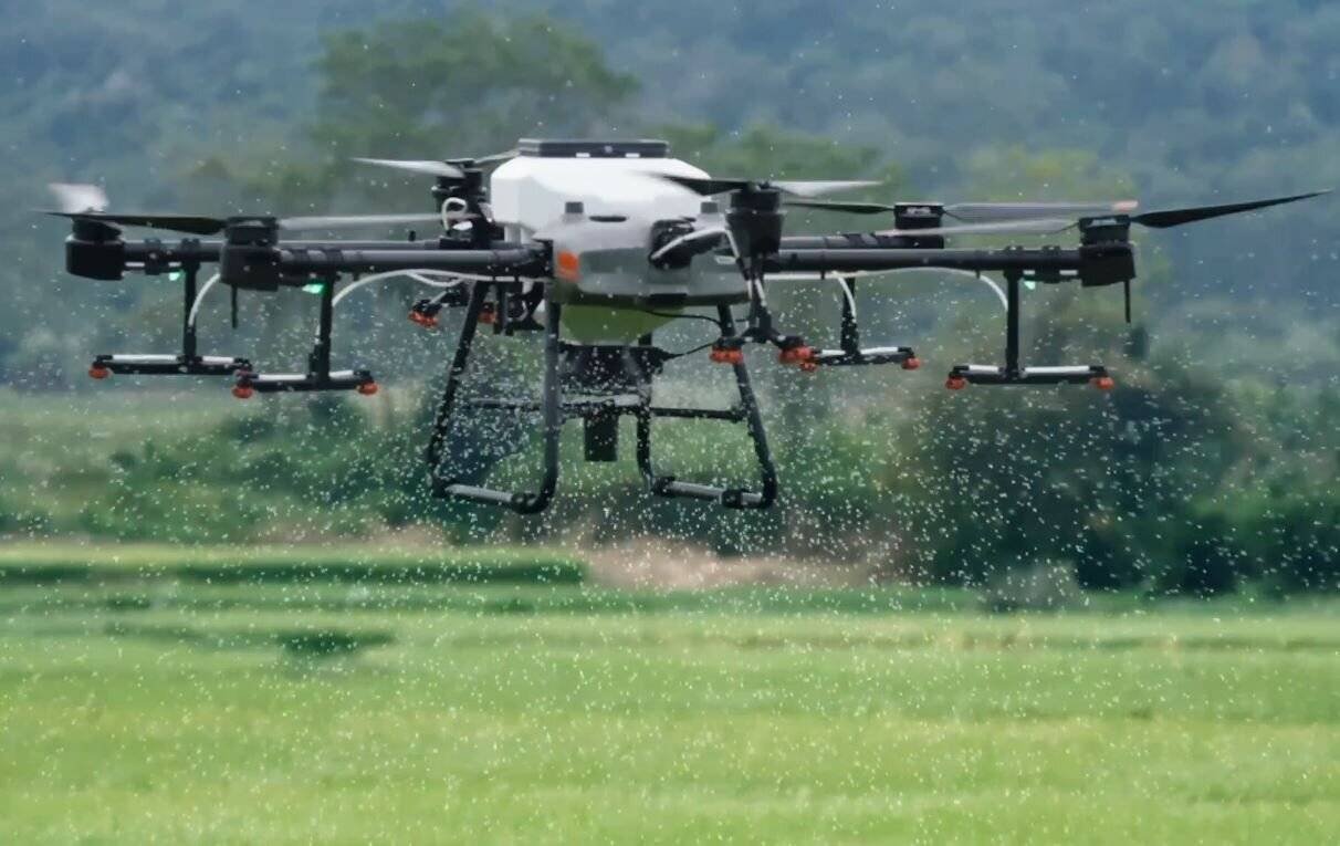 fertilizer